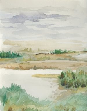 Green marsh coast watercolor print